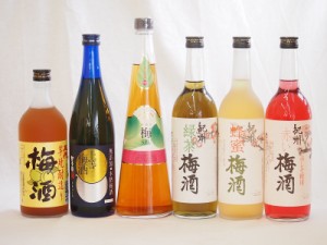 スペシャル梅酒6本セット(芋焼酎仕込五代梅酒(鹿児島) 手作り梅酒(宮崎県) 赤しそ赤い梅酒(和歌山) 芳醇ブランデー仕立チョーヤ梅酒 無添