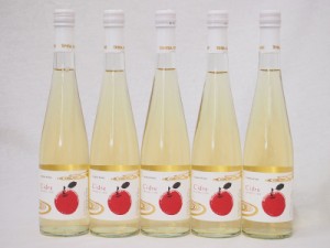 5本セット(cidreりんご発泡酒) 500ml×5本