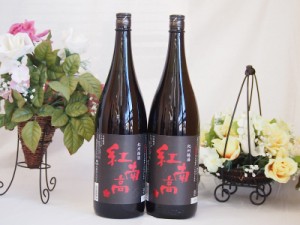 2本セット(紅南高梅酒20度(和歌山)) 1800ml×2本