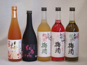 梅酒のみ比べ5本セット(紅南高梅酒20度(和歌山) 高千穂産梅使用熟成梅酒 赤しそ赤い梅酒(和歌山) 蜂蜜梅酒(和歌山) 緑茶梅酒(和歌山)) 72