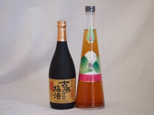 贅沢梅酒2本セット(古酒仕込み梅酒 手作り梅酒(宮崎県)) 720ml×2本