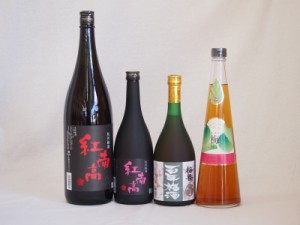 梅酒4本セット(紅南高梅酒20度(和歌山) 手作り梅酒(宮崎県) 梅香 百年梅酒(茨城)) 720ml×3本 1800ml×1本