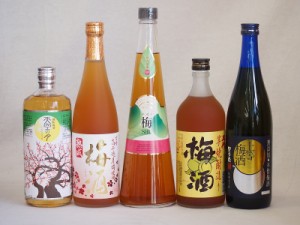 カラフル梅酒5本セット(芋焼酎仕込五代梅酒(鹿児島) 高千穂産梅使用熟成梅酒 手作り梅酒(宮崎県) 樽熟梅酒天空の月(大分) 無添加上等梅酒