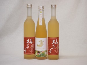 梅酒3本セット(金鯱梅酒 梅花音梅酒(岩手)) 500ml×3本