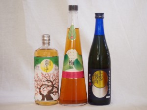 梅酒3本セット(手作り梅酒(宮崎県) 樽熟梅酒天空の月(大分) 無添加上等梅酒(鹿児島)) 720ml×3本