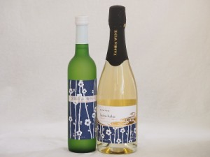 梅酒特集2本セット(京都フルーツ白梅スパークリングワインやや甘口(京都) 京都青谷梅わいん(京都)) 750ml×1本 500ml×1本