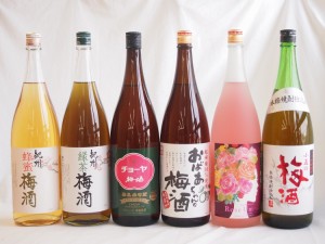 こんな梅酒福袋が欲しかったぁ　飲み比べ6本セット（中野BC  緑茶梅酒 蜂蜜梅酒  中埜酒造 おばあちゃんの梅酒 中埜酒造 ローズ梅酒 小正