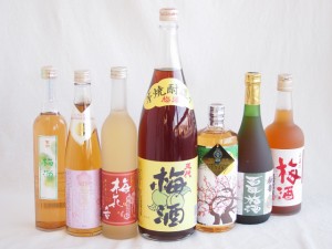 こんな梅酒福袋が欲しかったぁ　7本セット (百助梅酒 天空の月 樽熟梅酒 梅花音　五代梅酒 梅香 百年梅酒 老松酒造 天空の月)1800ml＋720