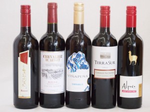 第64弾!★高品質赤ワイン5本セット(チリ2本、イタリア2本、スペイン1本）750ml×5本  