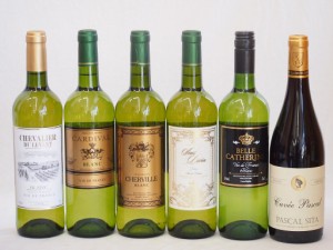 セレクションフランスワイン6本セット(赤ワイン1本 白ワイン5本) 750ml×6本 