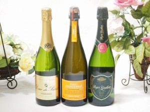 【第2弾】世界のスパークリングワイン飲み比べ！辛口3本セット（スペイン、フランス、イタリア泡ワイン3本セット