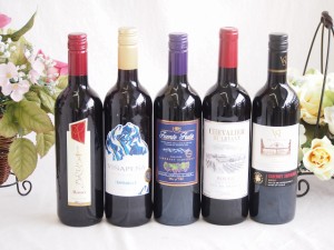 ワインセット 赤ワイン 5本( スペインワイン 1本 フランスワイン 1本 イタリアワイン 1本 チリワイン 2本)計750ml×5本 