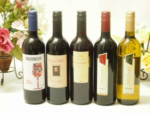 イタリア赤白ワイン5本セット750ml×5本
