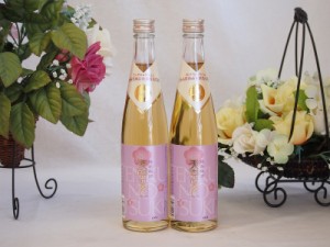 モンドセレクション金賞受賞蔵 天空の月 樽熟梅酒 老松酒造(大分県)500ml×2