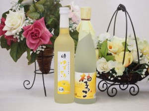 柚子リキュール2本セット ゆずとろ 柚子っこ 500ml×2