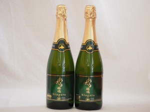 おたる醸造 ナイアガラスパークリング白ワイン やや甘口 (北海道)720ml×2