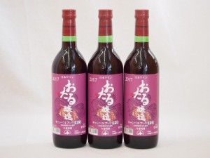 生葡萄酒 日本産葡萄100%使用 おたる醸造 キャンベルアーリ辛口赤ワイン(北海道)720ml×3