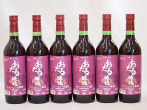 生葡萄酒 日本産葡萄100%使用 おたる醸造 キャンベルアーリ辛口赤ワイン(北海道)720ml×6