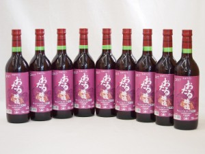 生葡萄酒 日本産葡萄100%使用 おたる醸造 キャンベルアーリ辛口赤ワイン(北海道)720ml×9