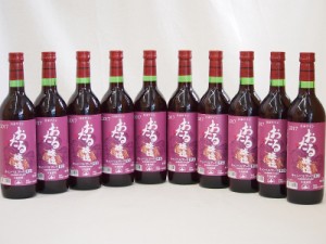 生葡萄酒 日本産葡萄100%使用 おたる醸造 キャンベルアーリ辛口赤ワイン(北海道)720ml×10