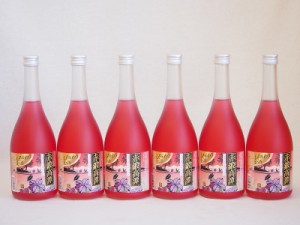 赤鍛高譚　北海道白糠町特産しそ使用 しそリキュール　720ml×6