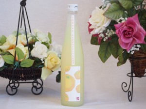 小野屋のゆず 大分県産ゆずを100%使用(大分県) 500ml×1