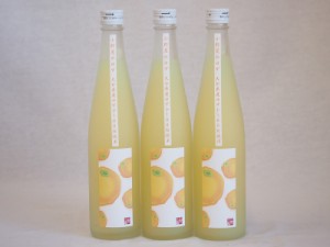 小野屋のゆず 大分県産ゆずを100%使用(大分県) 500ml×3