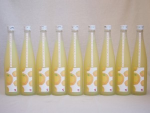 小野屋のゆず 大分県産ゆずを100%使用(大分県) 500ml×9