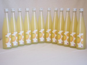 小野屋のゆず 大分県産ゆずを100%使用(大分県) 500ml×12