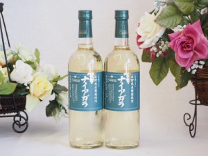 シャンモリ ナイアガラ甘口 長野県産葡萄使用 720ml×2