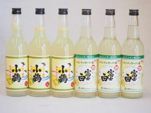 飲み比べチューハイの素セット　660ml×6本