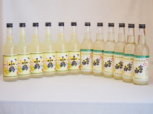 飲み比べチューハイの素セット　660ml×12本