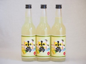 サワー専用 小鶴 ゆずレモン (鹿児島県) 660ml×3