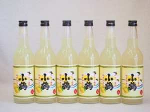 サワー専用 小鶴 ゆずレモン (鹿児島県) 660ml×6