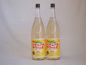 パインアメサワーの素 甘酸っぱくジューシーパイナップル果汁 25度 中野BC(和歌山県)1800ml×2