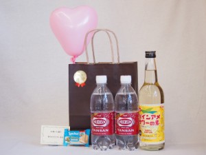 母の日風船セットチューハイセットパインアメサワーの素600ml 炭酸水500ml×2本 メッセージカード ハート風船