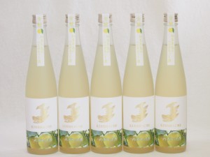 5本セット(金鯱日本酒ブレンド 知多半島のベルガモットオレンジ酒(愛知県)) 500ml×5本