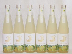 6本セット(金鯱日本酒ブレンド 知多半島のベルガモットオレンジ酒(愛知県)) 500ml×6本