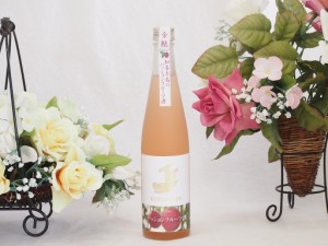 金鯱日本酒ブレンド 知多半島のパッションフルーツ酒(愛知県) 500ml×1本