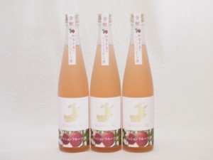 3本セット(金鯱日本酒ブレンド 知多半島のパッションフルーツ酒(愛知県)) 500ml×3本