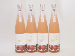 4本セット(金鯱日本酒ブレンド 知多半島のパッションフルーツ酒(愛知県)) 500ml×4本