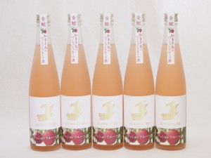 5本セット(金鯱日本酒ブレンド 知多半島のパッションフルーツ酒(愛知県)) 500ml×5本