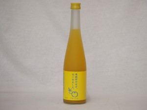 篠崎 柚子梅酒ゆず、はじめました（福岡県）500ml×1本