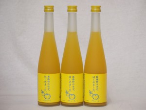 篠崎 柚子梅酒ゆず、はじめました（福岡県）500ml×3本