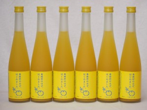 篠崎 柚子梅酒ゆず、はじめました（福岡県）500ml×6本