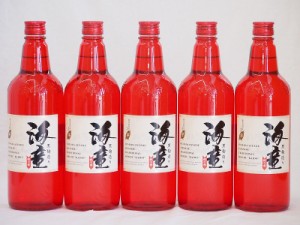 黒麹造り 海童 祝い赤 本格芋焼酎 濱田酒造(鹿児島県)720ml×5本