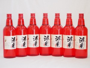 黒麹造り 海童 祝い赤 本格芋焼酎 濱田酒造(鹿児島県)720ml×7本