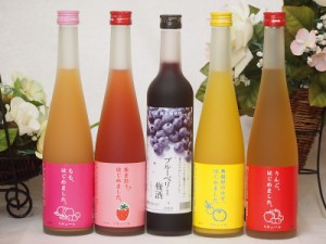 果物梅酒リキュールセット(ゆず梅酒 もも梅酒 あまおう梅酒 りんご梅酒 ブルーベリー梅酒)500ml×5本