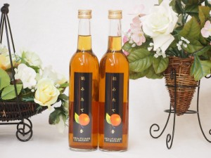 つみたて杏 濱田酒造 (鹿児島県)500ml×2本