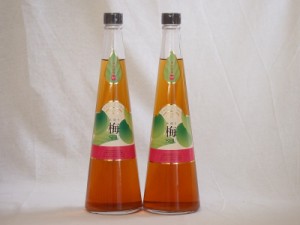 国内産梅100% 手造り梅酒(宮崎県)720ml×2本